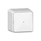 Gira - Drukcontact Opbouw 315613