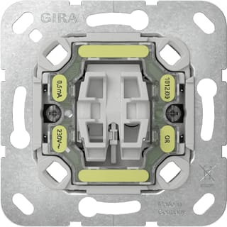 Gira - Installatieschakelaar Tast-Controlesch 2-P Z/Kl