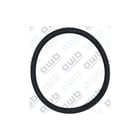 AWB - Toeb./onderd. gasgestookte cv-ketel lipring d80mm 0020038076