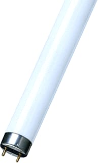 Bailey - Fluorescent TL-buis tl buis 146426