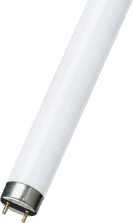 Bailey - Fluorescent TL-buis 146444