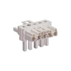 Wago - Comp. verd. insteekb. gebouwinstal. T-VERDELER 1M-2F 5P W