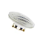 Bailey - Studio-, projectie- en fotolamp 25/Par36/Wfl 12V 25W Scrt
