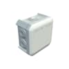 Miniatuur 1