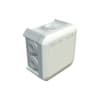 Miniatuur 1