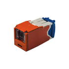 Panduit - Modulaire connector  cjh6x88tgor