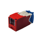 Panduit - Modulaire connector  cjh6x88tgrd