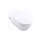 Villeroy & Boch - ViCare Closet Diepsplcls 5649R0R1