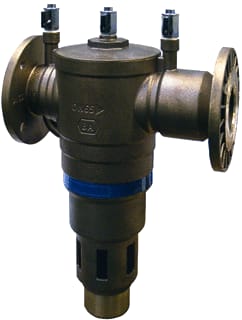 Raminex - TBE Toebeh./onderdelen v terugslagklep 299894