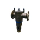 Raminex - TBE Toebeh./onderdelen v terugslagklep  299894