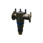 Raminex - TBE Toebeh./onderdelen v terugslagklep 299897