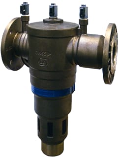 Raminex - TBE Toebeh./onderdelen v terugslagklep 299898