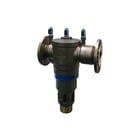 Raminex - TBE Toebeh./onderdelen v terugslagklep  299898