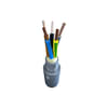 Miniatuur 1