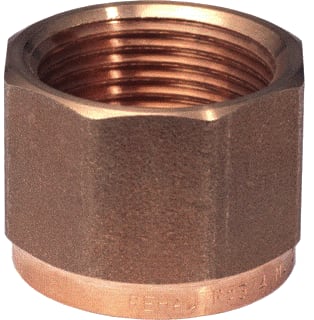 REHAU - RAUTITAN RX+ Fitting met 1 aansluiting Fit Rau Rp 3/4