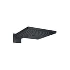 Hansgrohe - Raindance E 300 Douchekop Rd E300 1J Hfddche+Arm N
