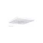 Hansgrohe - Raindance E 300 Douchekop Rd E300 1J Hfddche+Arm Mw