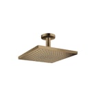Hansgrohe - Raindance E 300 Douchekop Rd E300 1J Hfddche Plf Bb