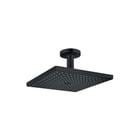 Hansgrohe - Raindance E 300 Douchekop Rd E300 1J Hfddche Plf B