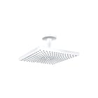 Hansgrohe - Raindance E 300 Douchekop Rd E300 1J Hfddche Plf Mw