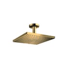 Hansgrohe - Raindance E 300 Douchekop Rd E300 1J Hfddche Plf Pg