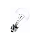 Bailey - Gloeilamp standaard Peer E27 48V 60W Helder