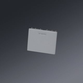 Regiolux - Mech. toebeh. verlichtingsarmatuur eindkap hlds-1 grijs paar