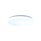 RZB - Flat Polymero Kreis Slim Plafond-/wandarmatuur Led/36W D515 Pmma 3100Lm
