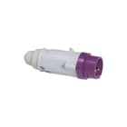 Legrand - P17 Tempra CEE-contactstop P17 Stekker 20/25V 2P 16A