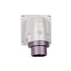 Legrand - P17 Tempra CEE-toestelcontactdoos tcd 24v 16a 2p