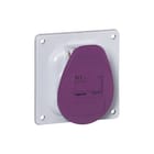 Legrand - P17 Tempra CEE-contactdoos, aanbouw Ib Wcd 20/25V 16A 2P Ip44