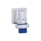 Legrand - P17 Tempra CEE-toestelcontactdoos Ccetstcd 056803