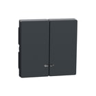 Schneider Electric Merten - Bed.element / centr.pl. schakelmat. bed.elem/centr meg3420-0414