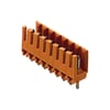 Miniatuur 1