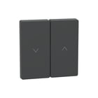 Schneider Electric Merten - Bed.element / centr.pl. schakelmat. bed.elem/centr meg3855-6034