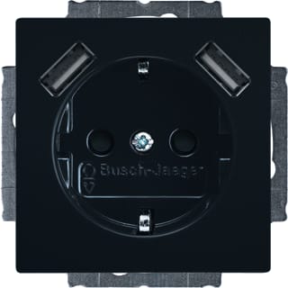 ABB Busch-Jaeger - Future, Carat Wandcontactdoos (WCD schakelmat.) wcd ra kv 2xusb antr