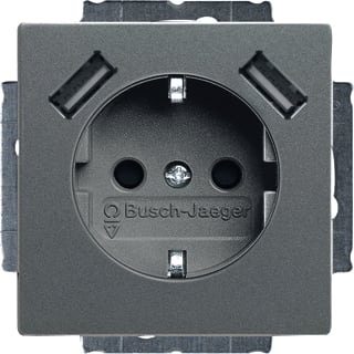 ABB Busch-Jaeger - Solo Wandcontactdoos (WCD schakelmat.) wcd ra kv 2xusb grijs