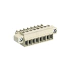 Wieland - Kabelconnector v printplaatconnect. 25.641.3253.0