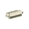 Miniatuur 1