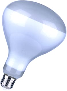 Bailey - LED-lamp Led Fil R125 E27 11W 827