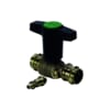 Miniatuur 1