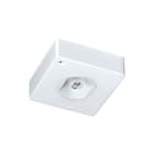 Famostar - CELO CS Noodverlichtingsarmatuur V-230 Xl