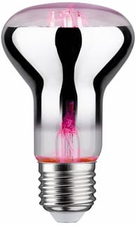 Paulmann - LED-lamp led fil plant r63 6, 230v