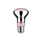 Paulmann - LED-lamp led fil plant r63 6, 230v