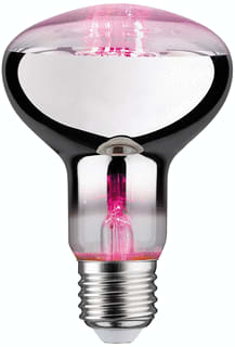 Paulmann - LED-lamp led fil plant r80 6, 230v
