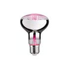 Paulmann - LED-lamp led fil plant r80 6, 230v