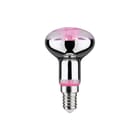 Paulmann - LED-lamp fil plant r50 e14 6, 230v