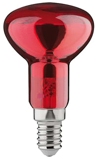 Paulmann - IR-lamp reflector lamp r50 40w in