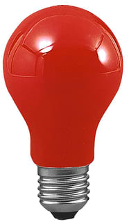 Paulmann - Gloeilamp standaard gls 25w e27 105 60(55) re