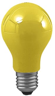 Paulmann - Gloeilamp standaard gls 40w e27 105 60(55) ye